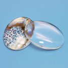 Clear magnifying cabochon, glass, 40x30mm oval, 2pcs