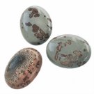Cabochon, Crazy Horse, 40x30mm oval, 1st