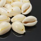 Natural cowrie shells