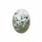 Cabochon, tree agate (natural), 18x13mm oval. Sold individually.