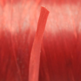 artificial,sinew,thread,red